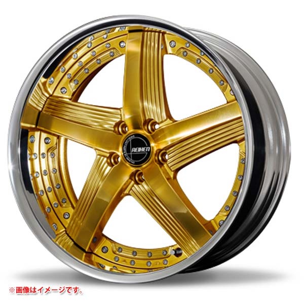 アミスタット ライエン C010 12.0-21 ファインゴールド FG